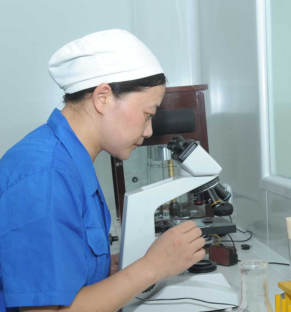 湖北奧星以質量為根