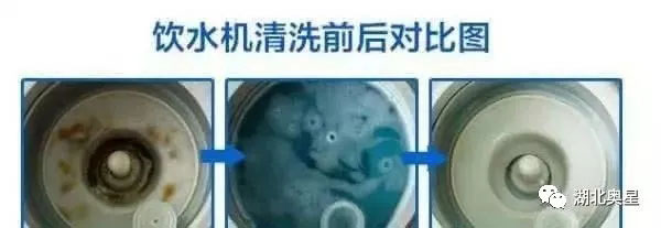 您的飲水機(jī)多久沒有清洗了？快點(diǎn)開看看吧！