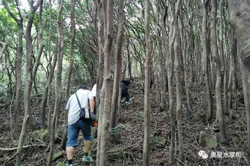 55歲后進入養壽“關鍵期”，如何養生？牢記“3忌、2勤、1戒”