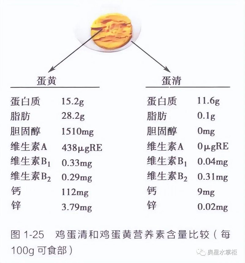 早上吃一個水煮雞蛋，一段時間后有何變化？建議：肝不好的來看看